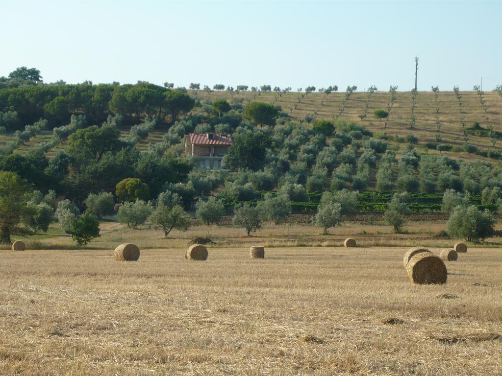 Agriturismo San Lino-Gilberto Massa Marittima Exterior foto